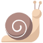 snail